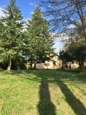 Agriturismo Bethsaid